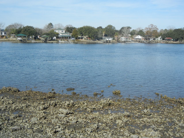 Stono Ferry view across river