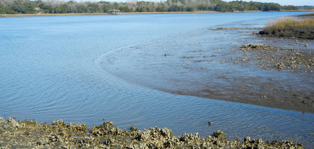 Stono River at Stono Ferry