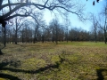 Cowpens Battleground