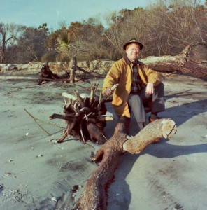 Photo taken at boneyard beach on Hunting Island, Beaufort County, South Carolina