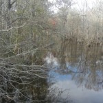 Brier Creek at Brannens Bridge